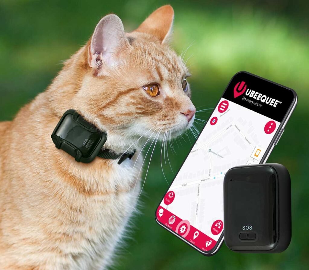 Cat Tracker