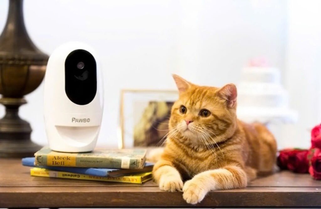 Pawbo Pet Camera
