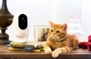 Pawbo Pet Camera