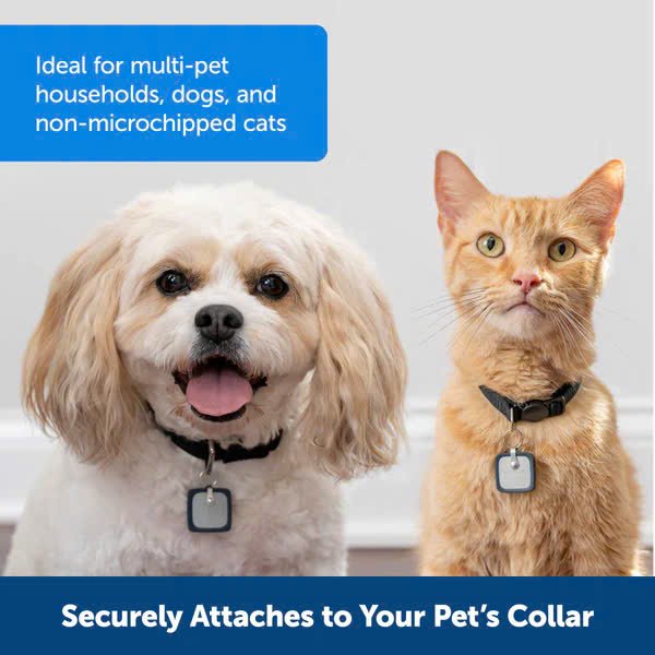 Automatic Pet Door for Dogs and Cats